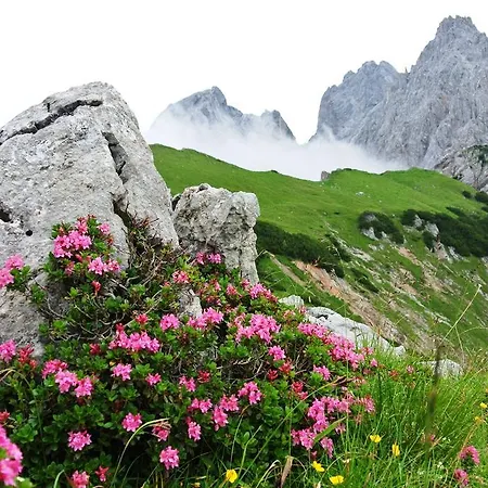 Bergpracht 3*
