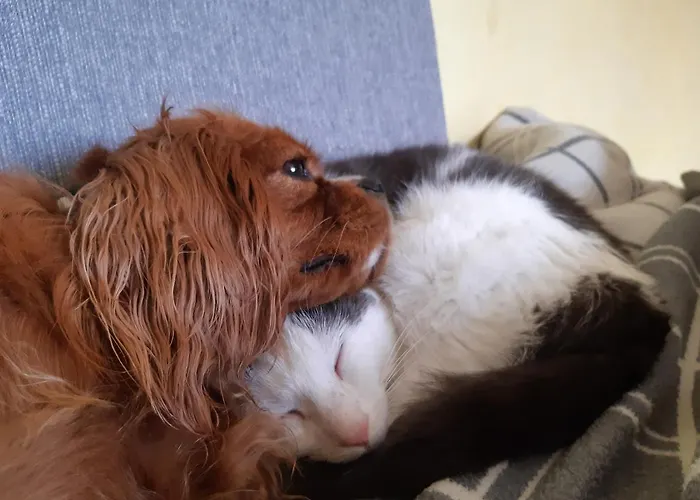 Bergpracht Pensjonat 3*